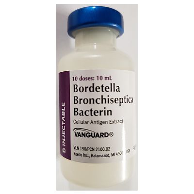 Vanguard B Injectable 10 dose vial - Formerly Bronchicine CAe